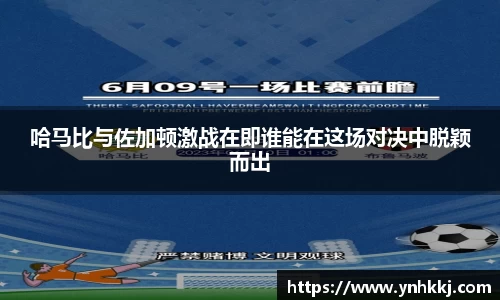 哈马比与佐加顿激战在即谁能在这场对决中脱颖而出